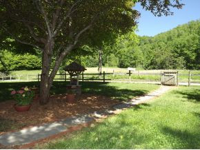845 Mc Curry Road Unicoi, TN 37692 - Photo 4 of 24 Photo 4