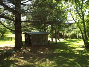 845 Mc Curry Road Unicoi, TN 37692 - Photo 5 of 24 Photo 5