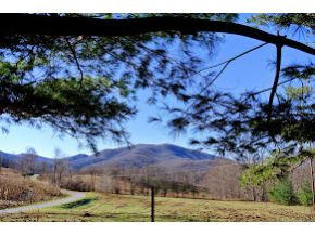 845 Mc Curry Road Unicoi, TN 37692 - Photo 6 of 24 Photo 6