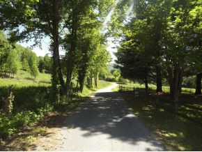 845 Mc Curry Road Unicoi, TN 37692 - Photo 7 of 24 Photo 7