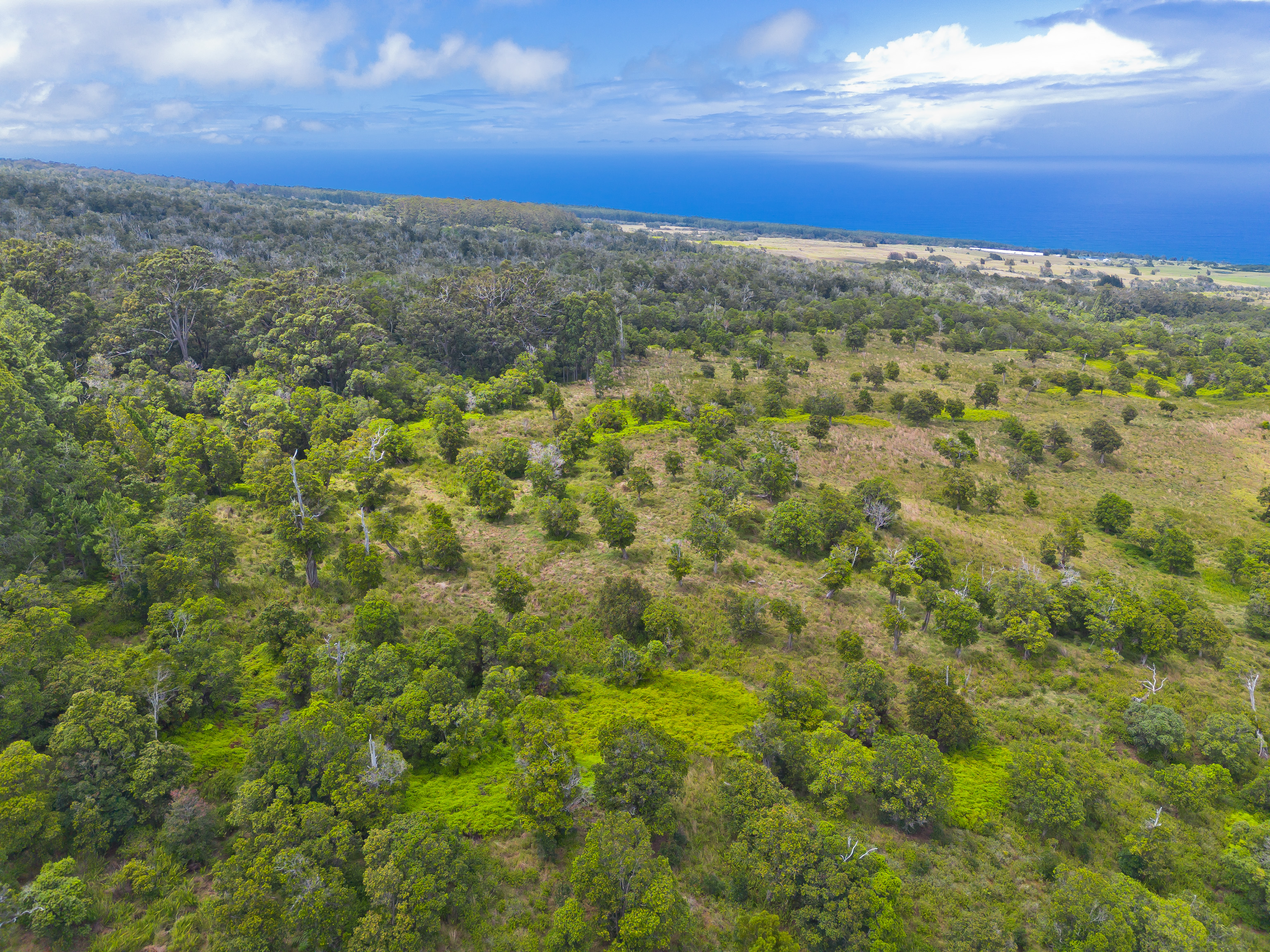 9 Lot Laupahoehoe, HI 96764 - Photo 11 of 28 a view of a field with an ocean