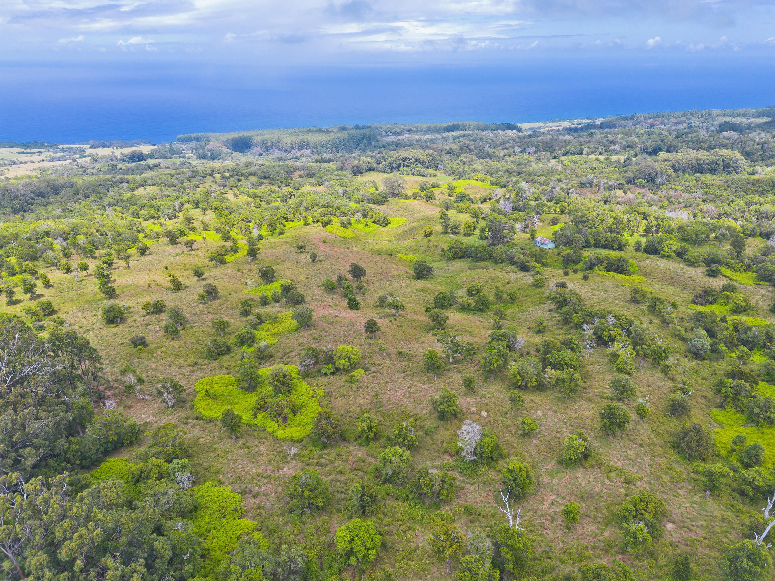 9 Lot Laupahoehoe, HI 96764 - Photo 12 of 28