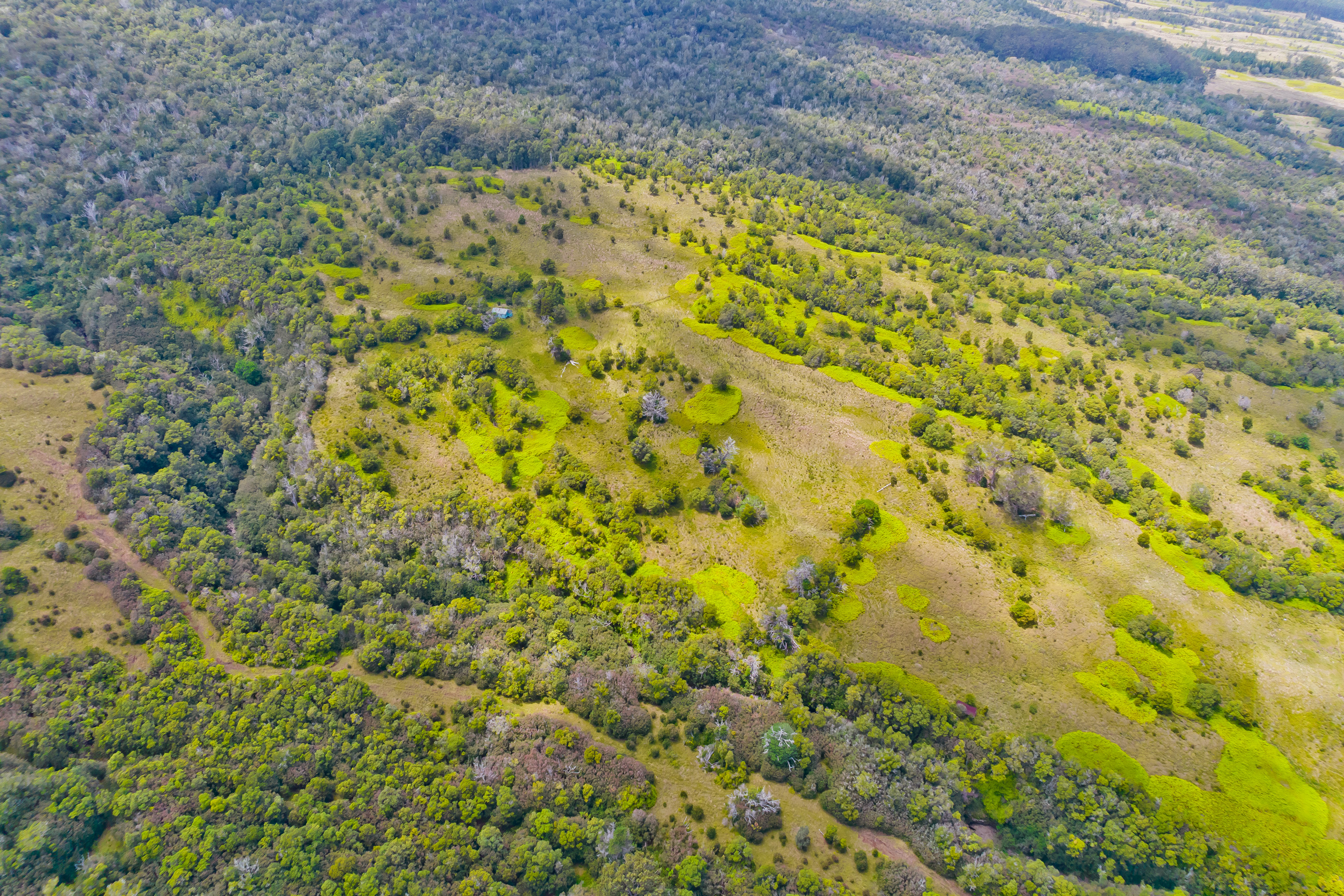 9 Lot Laupahoehoe, HI 96764 - Photo 15 of 28 a view of a yard