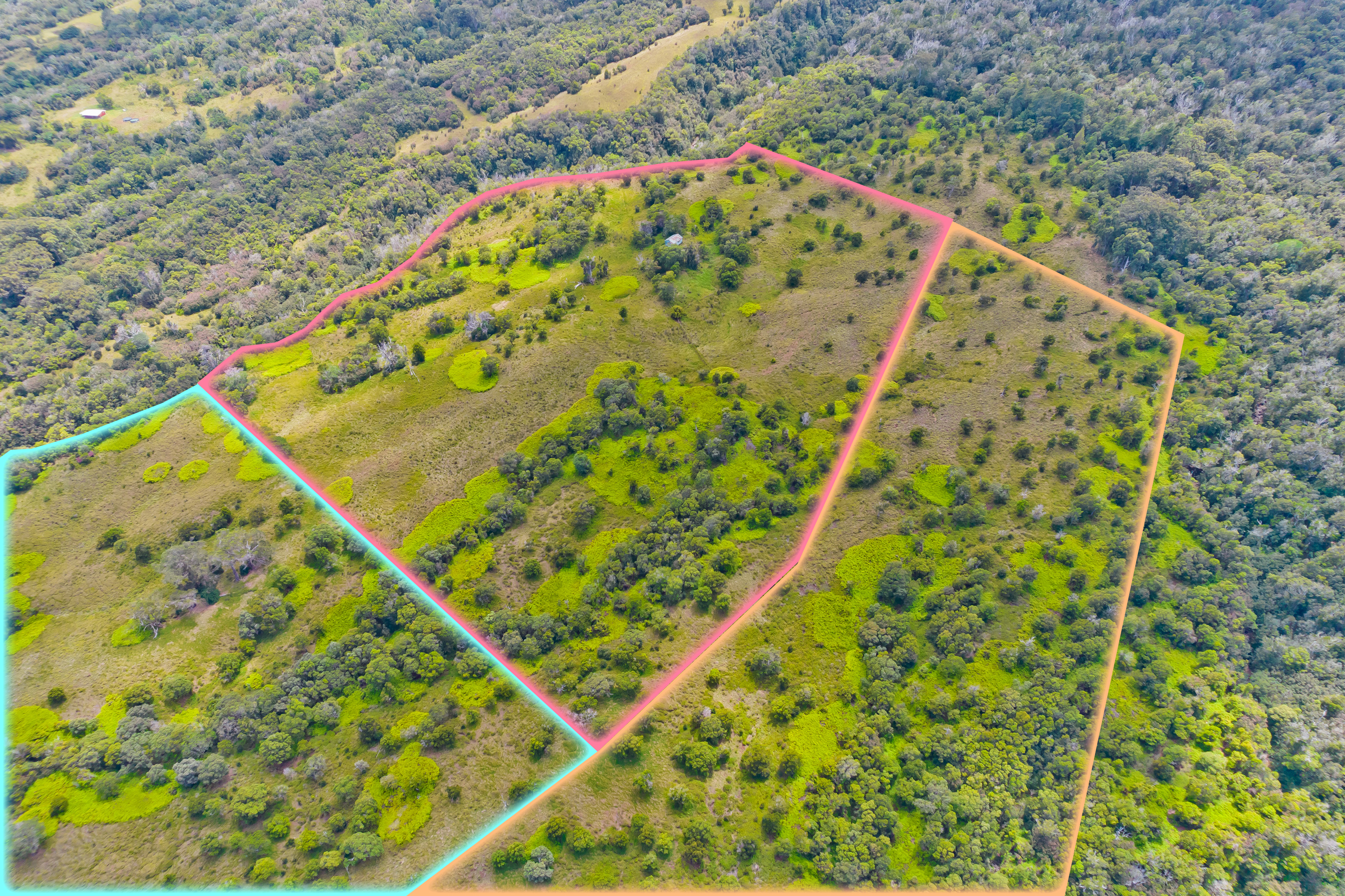 9 Lot Laupahoehoe, HI 96764 - Photo 19 of 28 a close up of a plant