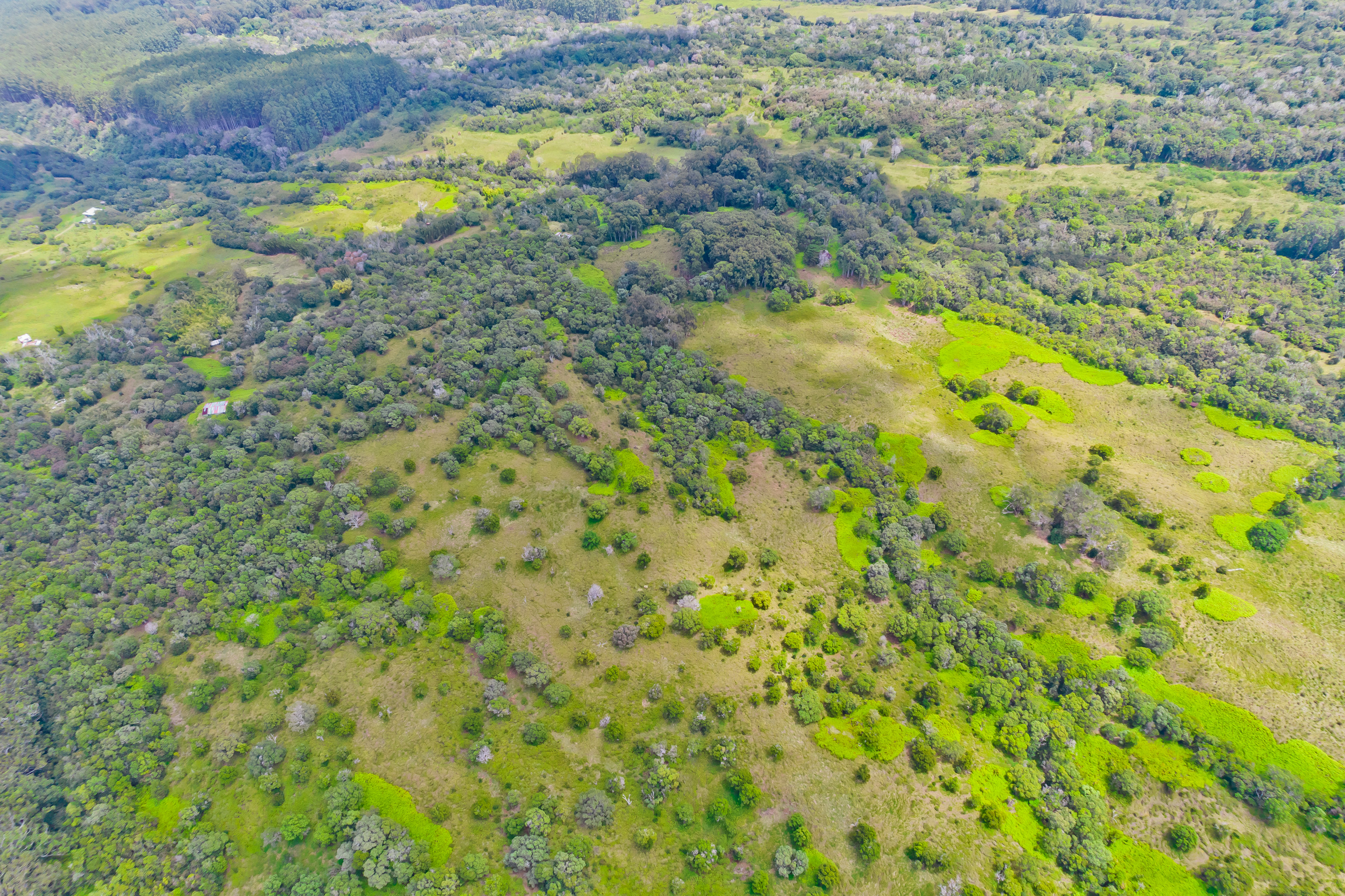 9 Lot Laupahoehoe, HI 96764 - Photo 20 of 28