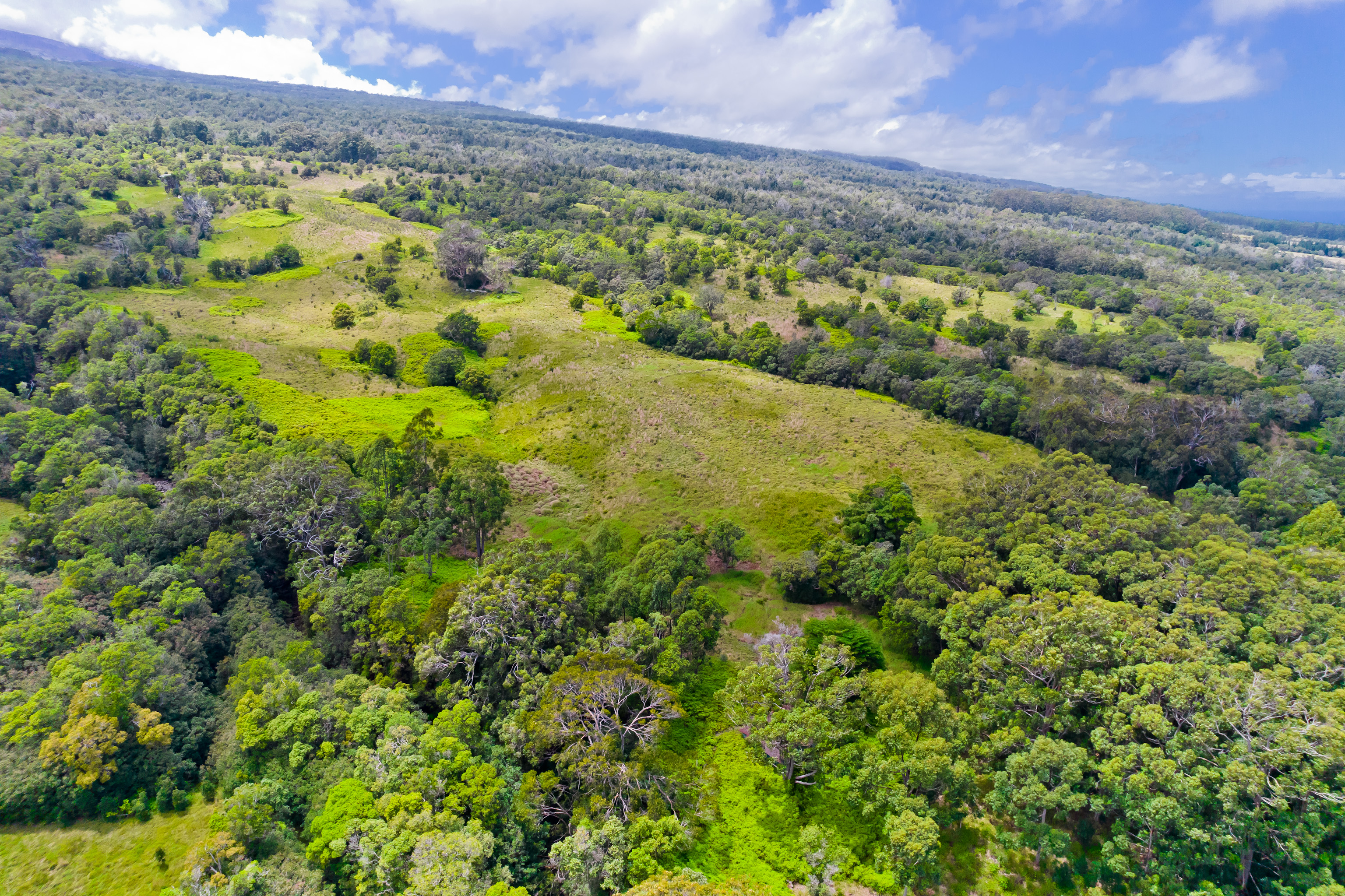 9 Lot Laupahoehoe, HI 96764 - Photo 22 of 28