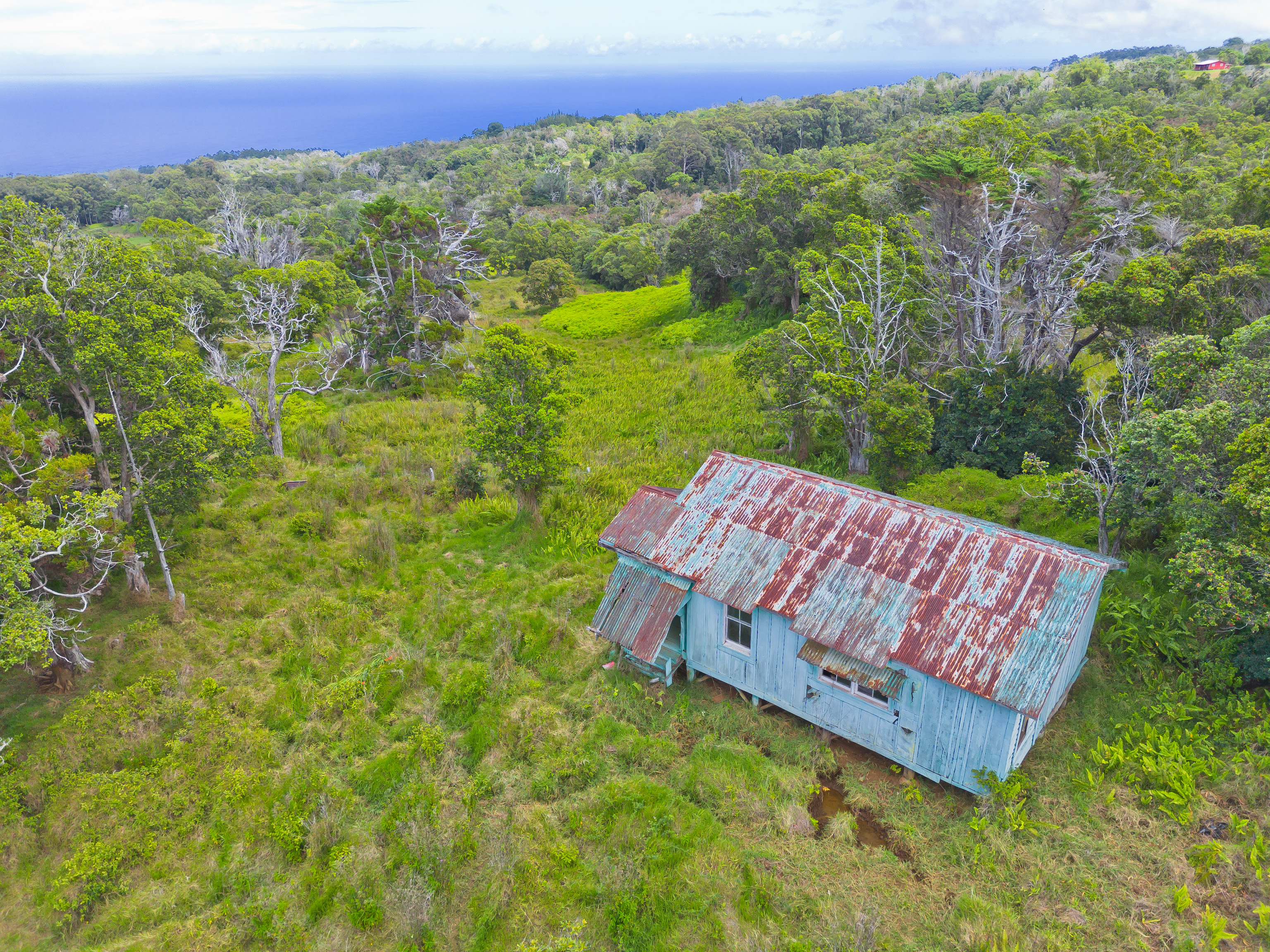 9 Lot Laupahoehoe, HI 96764 - Photo 27 of 28 a view of a backyard with plants and a garden