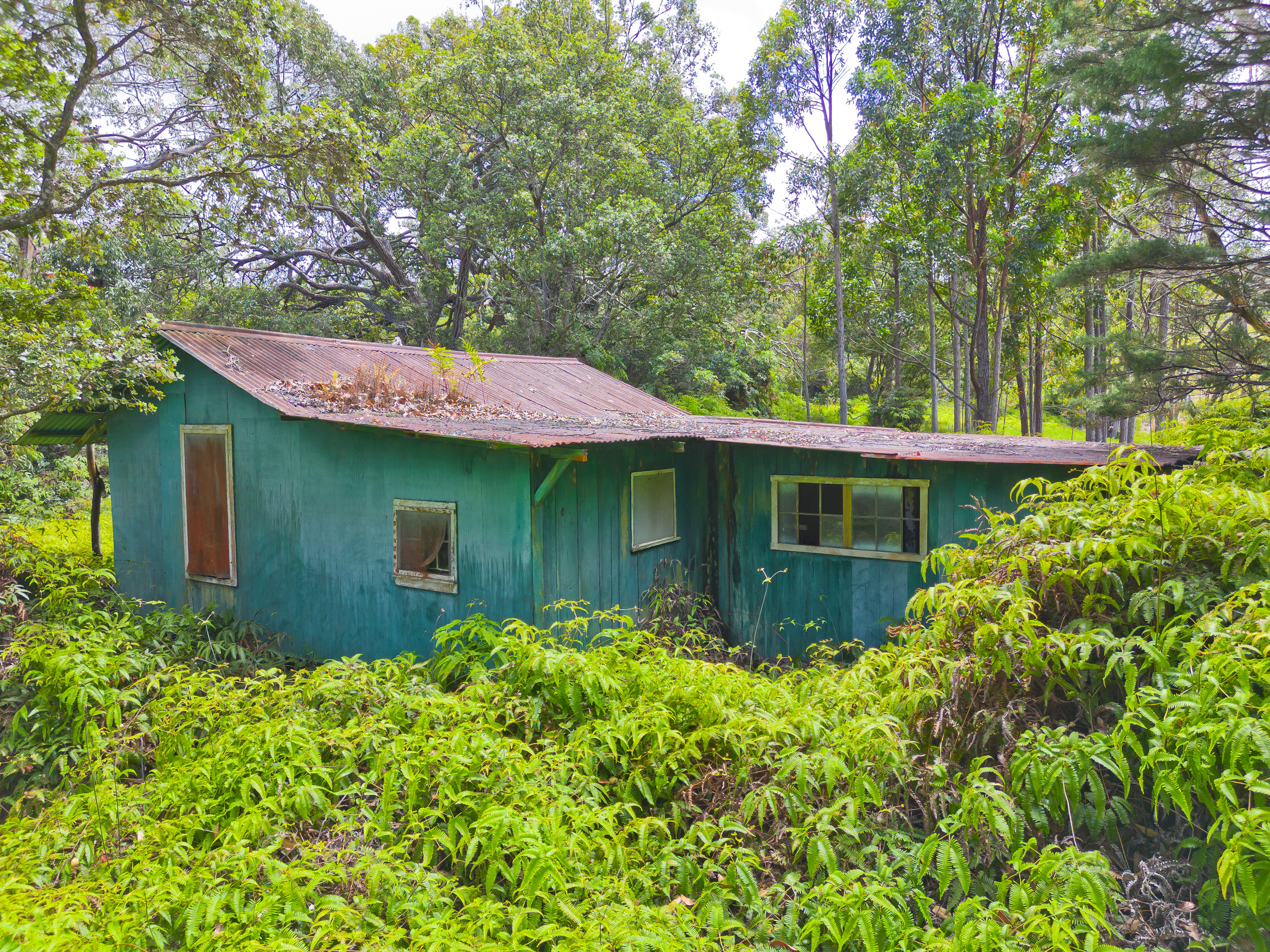 9 Lot Laupahoehoe, HI 96764 - Photo 28 of 28 a view of a brick house with a big yard and large trees