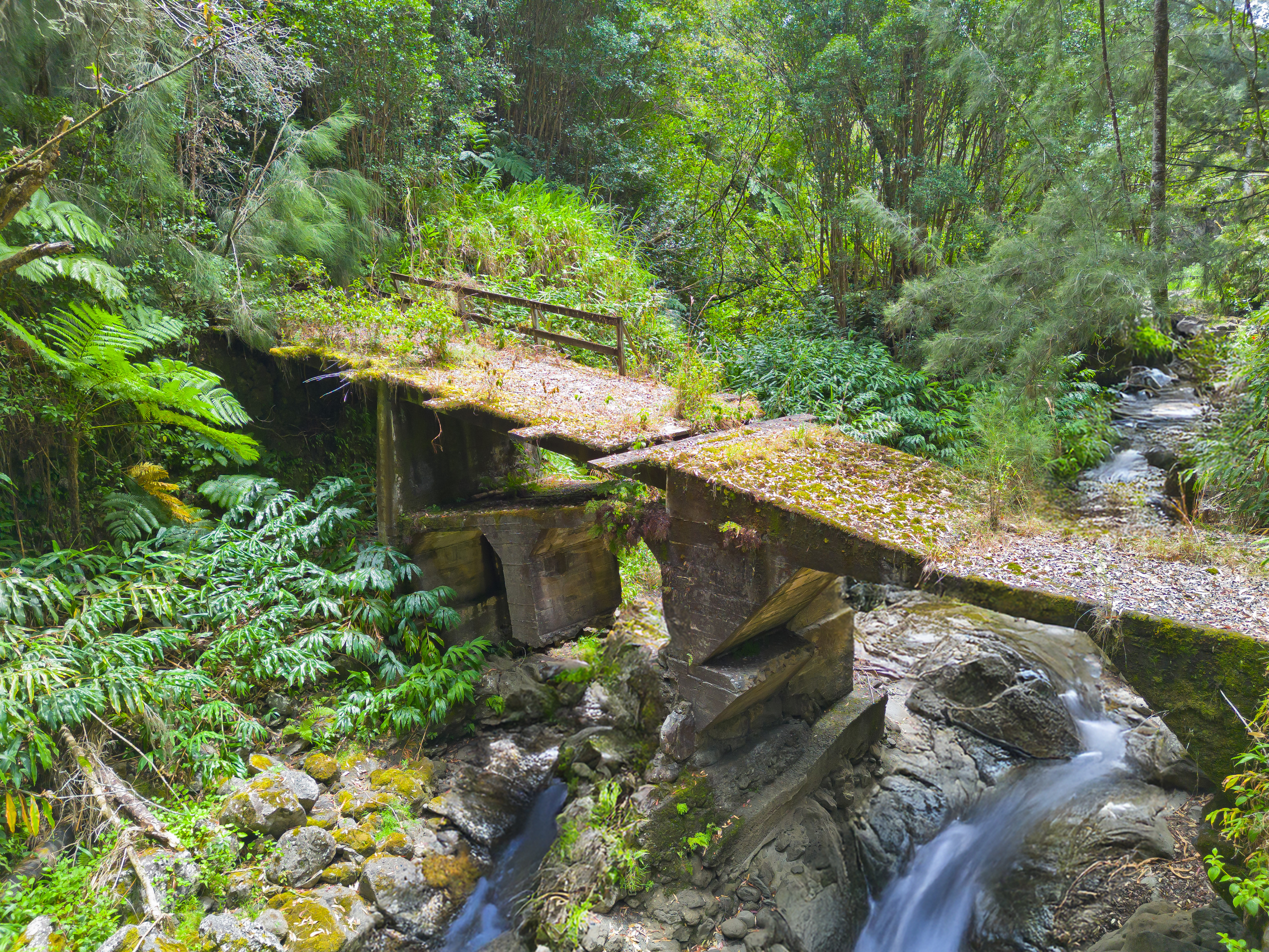 9 Lot Laupahoehoe, HI 96764 - Photo 3 of 28