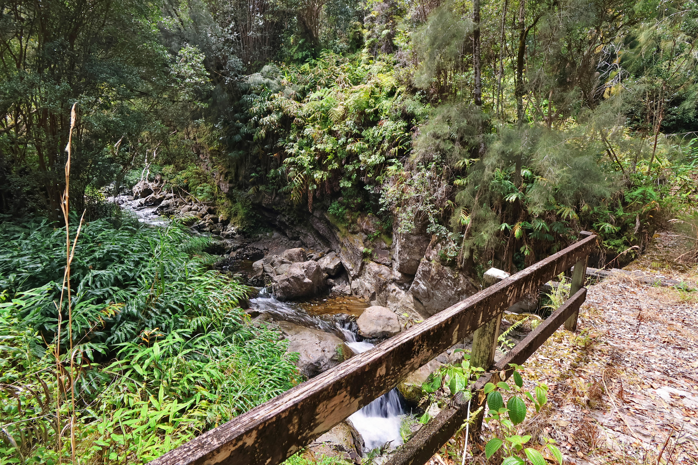 9 Lot Laupahoehoe, HI 96764 - Photo 5 of 28 a city view