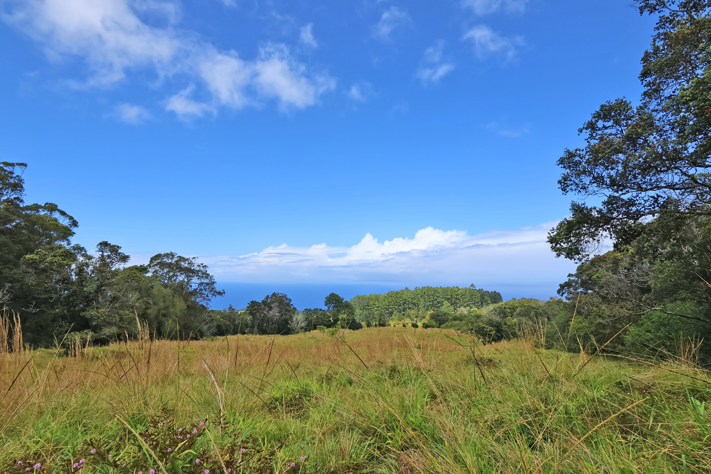 9 Lot Laupahoehoe, HI 96764 - Photo 7 of 28 a view of an lake and a mountain