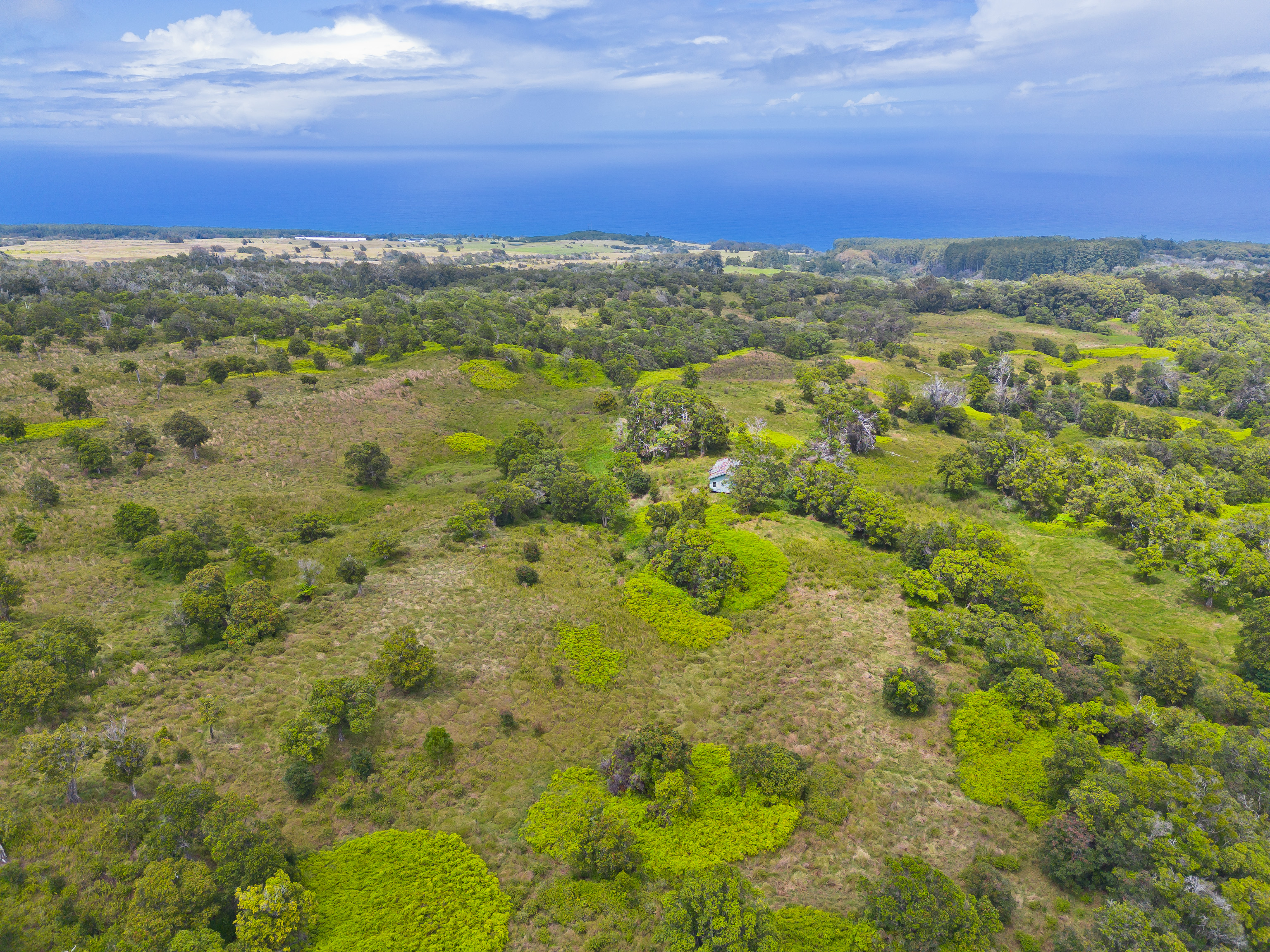 9 Lot Laupahoehoe, HI 96764 - Photo 8 of 28 an aerial view of residential houses with city view