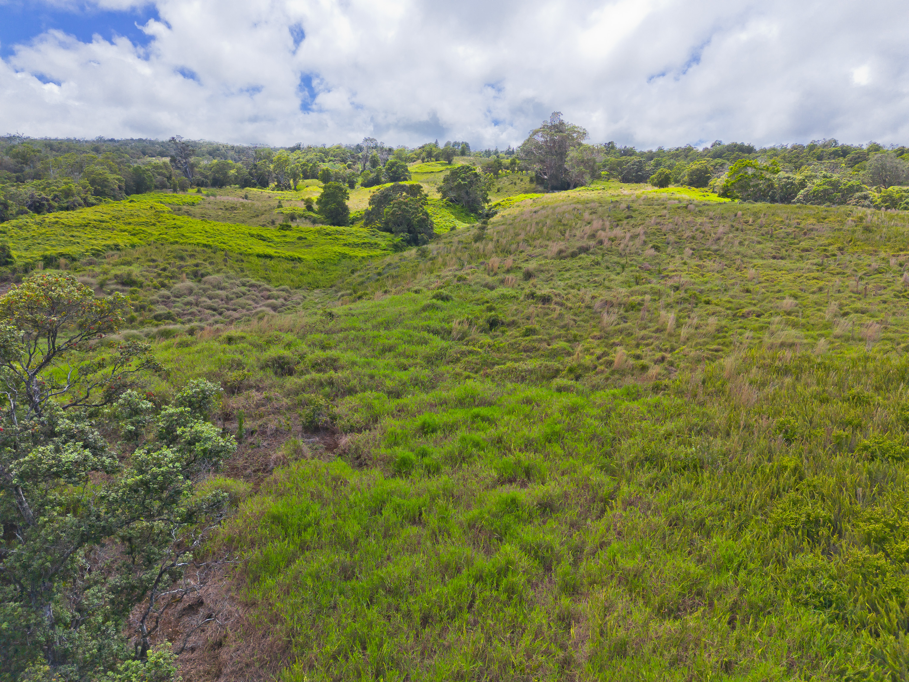 9 Lot Laupahoehoe, HI 96764 - Photo 9 of 28 a view of an outdoor space and a yard