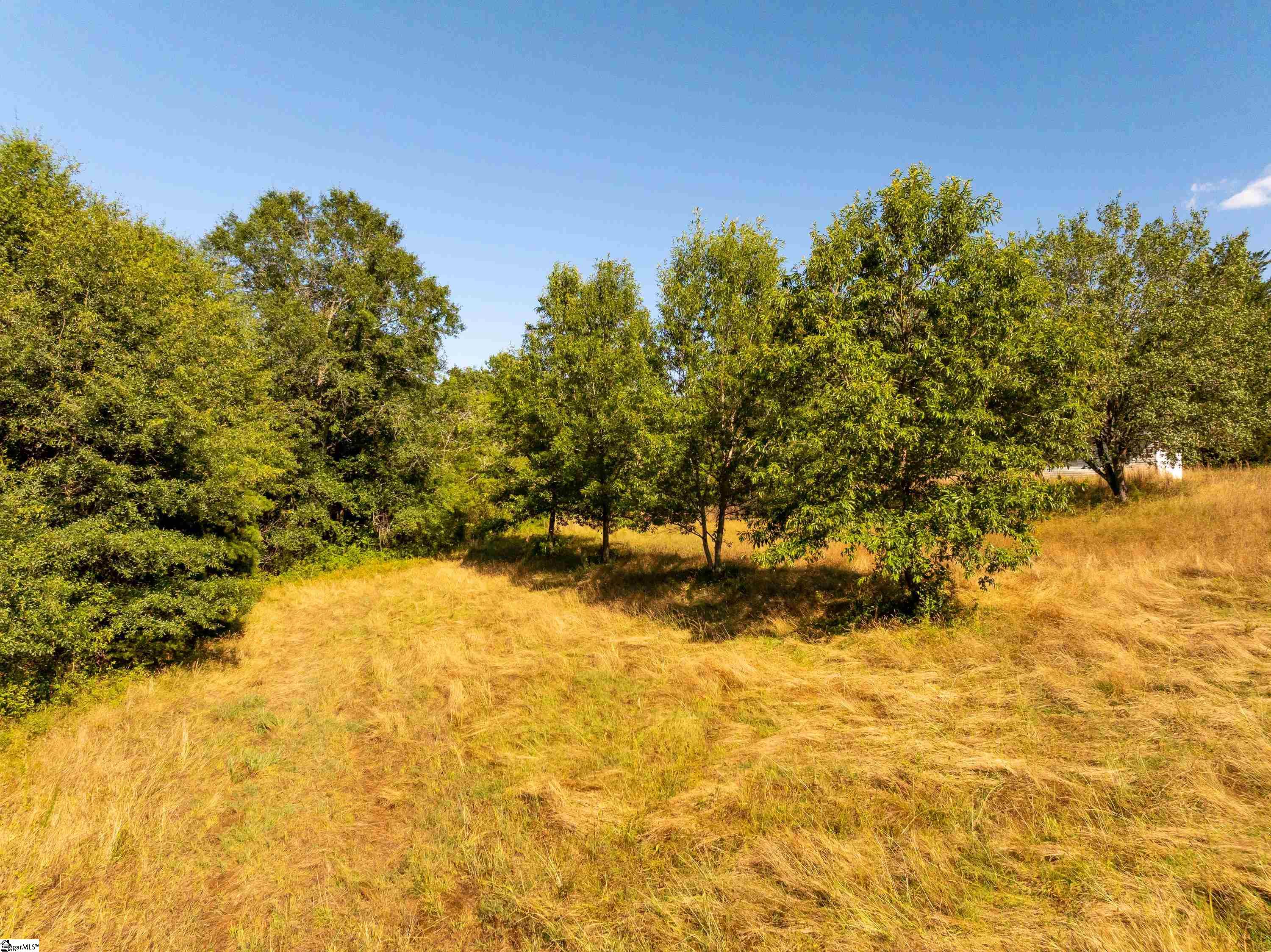 706 Breazeale Road Liberty, SC 29657 - Photo 14 of 39