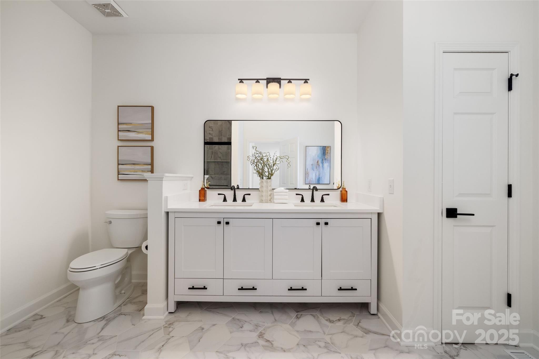 15906 Youngblood Road Charlotte, NC 28278 - Photo 15 of 41 a bathroom with a toilet a sink and mirror