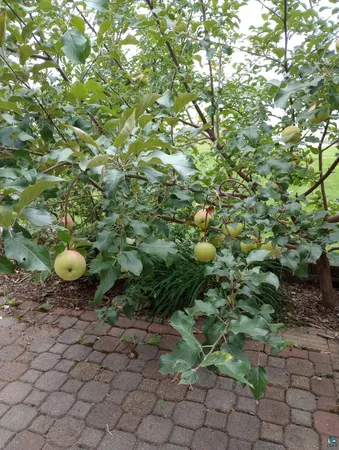 $870,000 | 63626 Hannu Lane, Finlayson, MN 55735