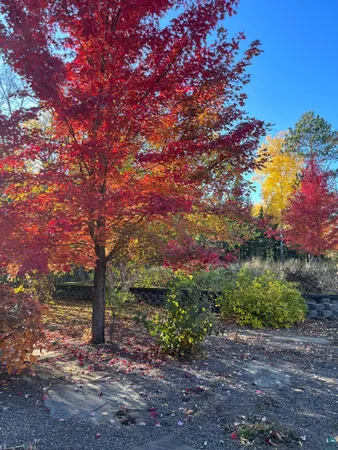 $870,000 | 63626 Hannu Lane, Finlayson, MN 55735