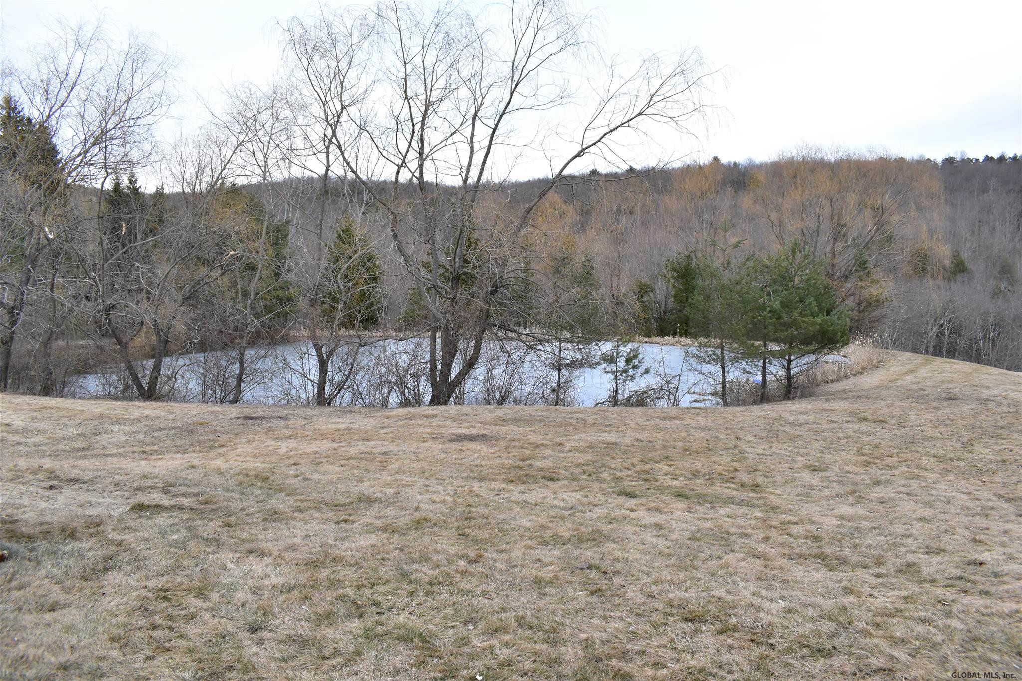 228 Roney Road Rensselaerville, NY 12469 - Photo 21 of 23 Photo 22