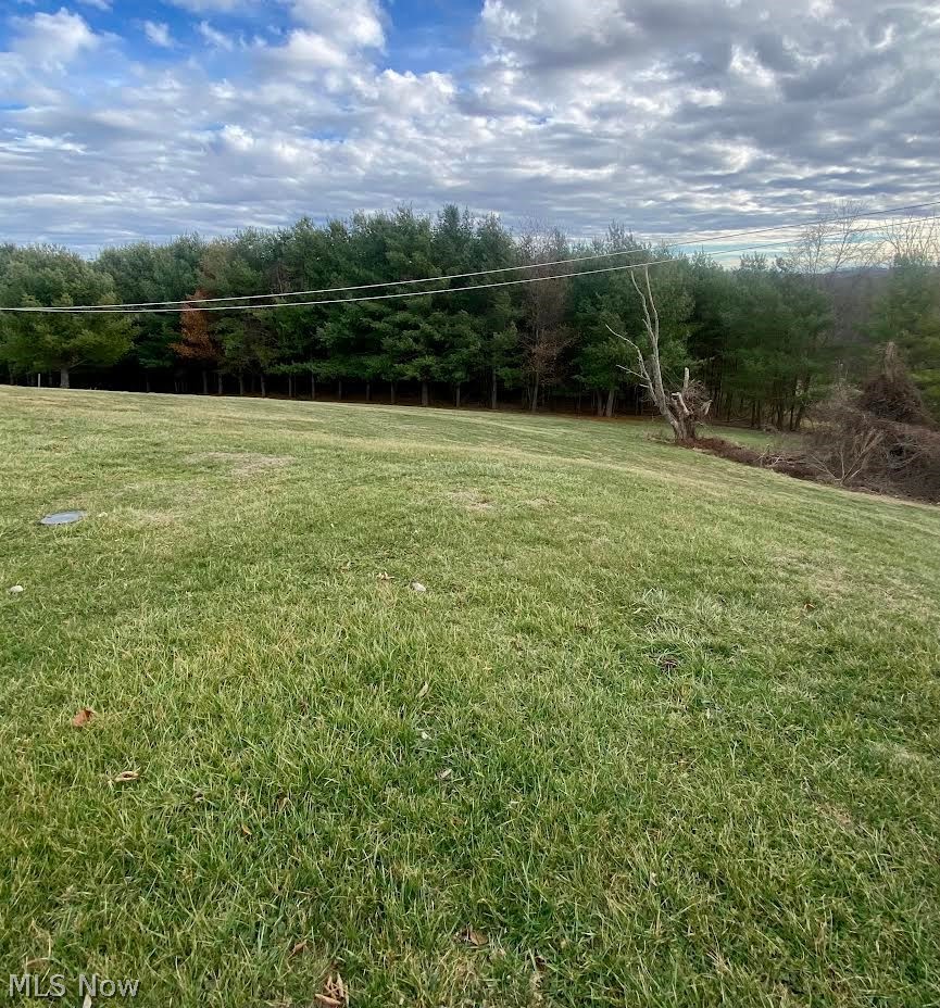918 Warren Chapel Road Fleming, OH 45729 - Photo 26 of 28 Back yard with wooded background