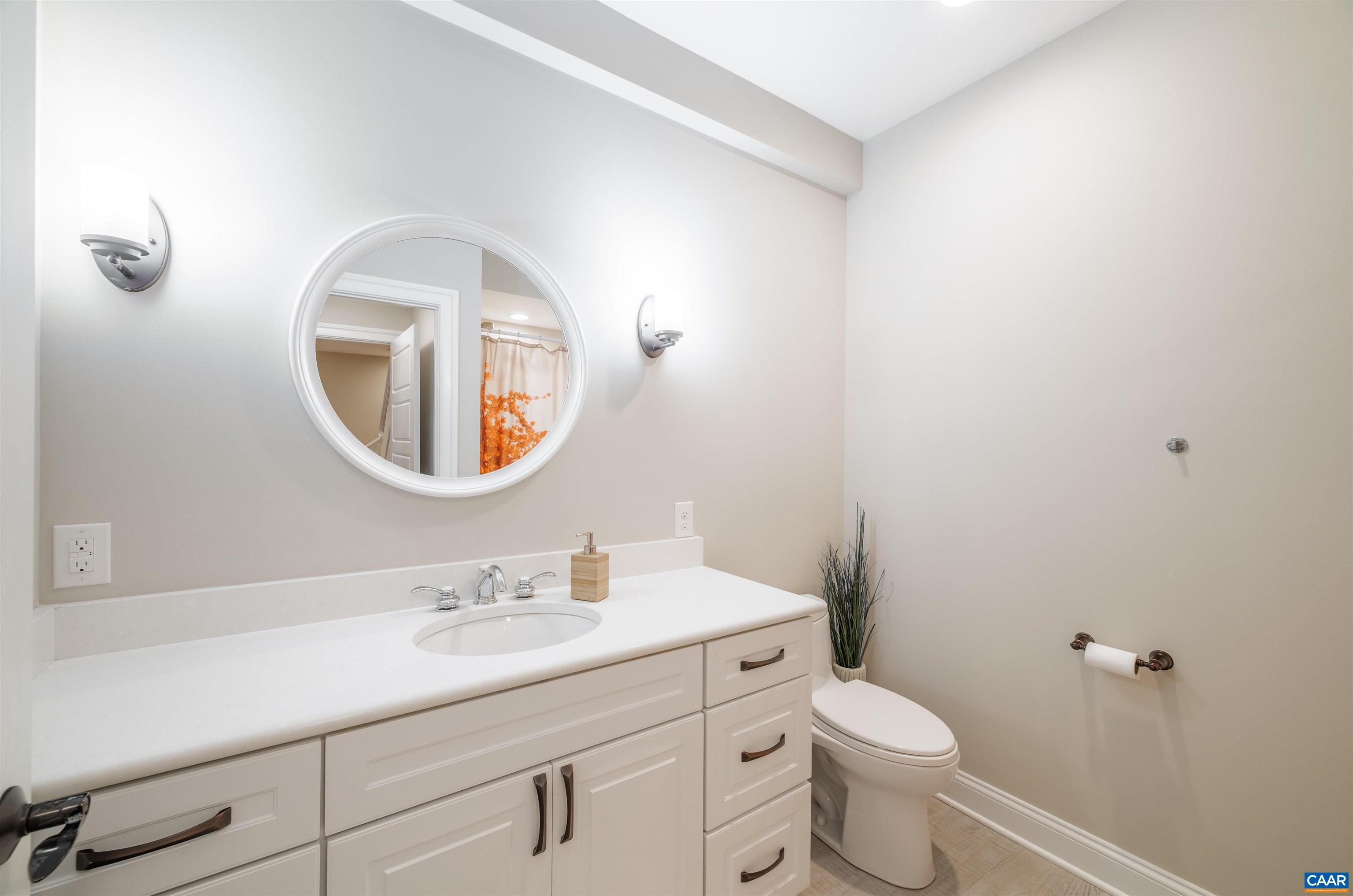 303 Turkey Ridge Road Charlottesville, VA 22903 - Photo 39 of 49 a bathroom with a toilet a sink a mirror and vanity