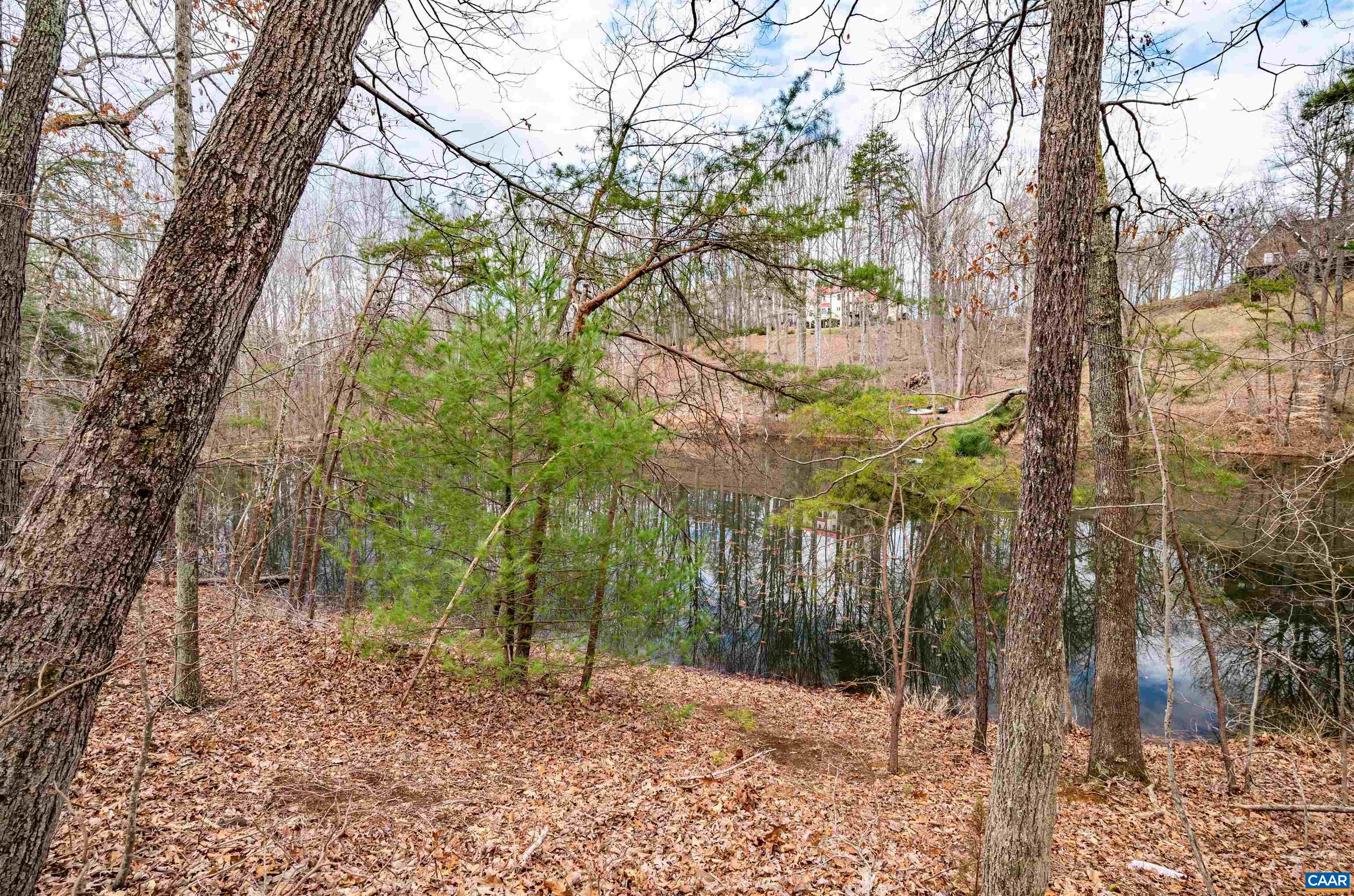 303 Turkey Ridge Road Charlottesville, VA 22903 - Photo 47 of 49 a backyard of a house with lots of green space