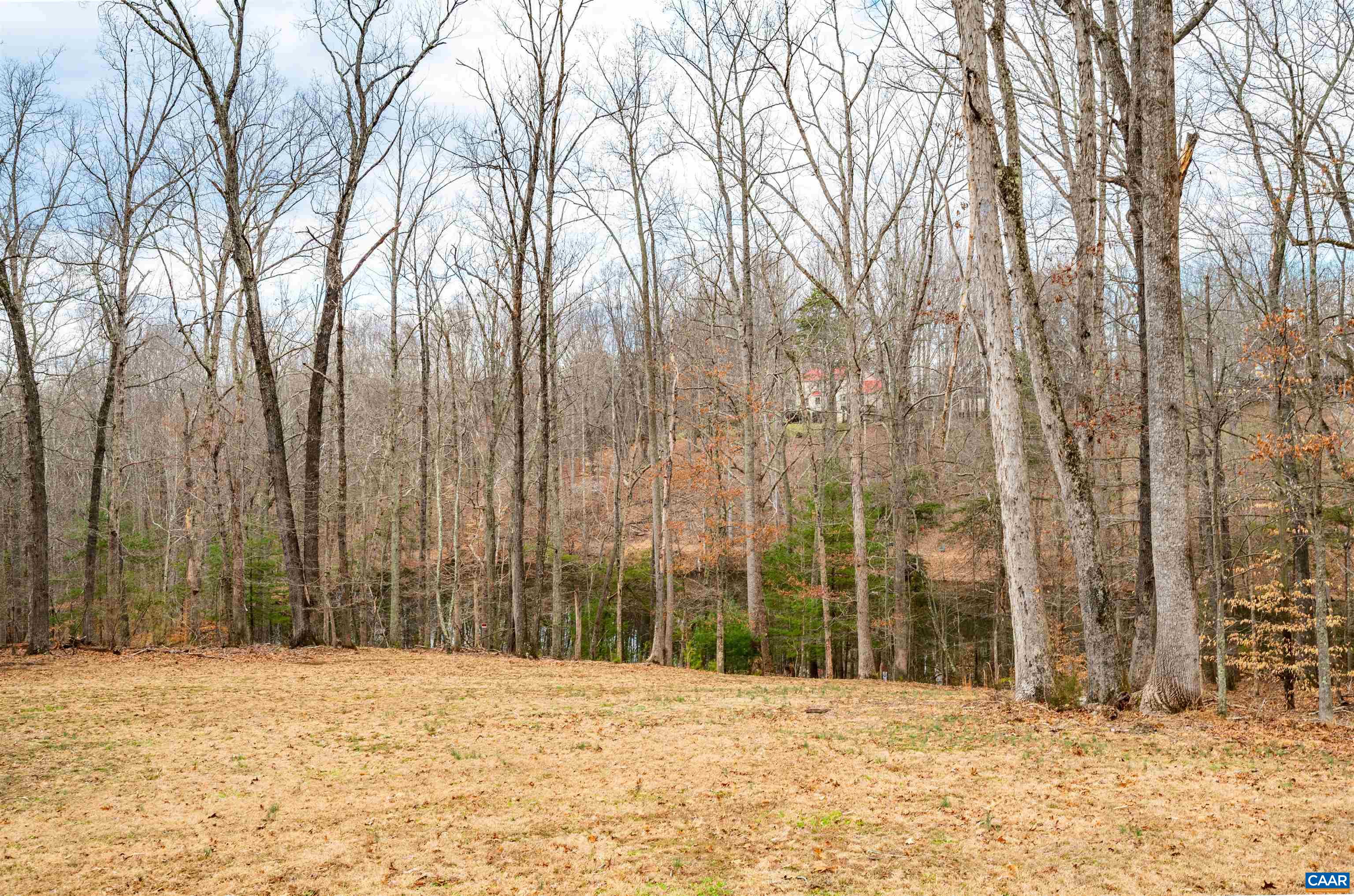303 Turkey Ridge Road Charlottesville, VA 22903 - Photo 48 of 49 a view of wooden fence and trees