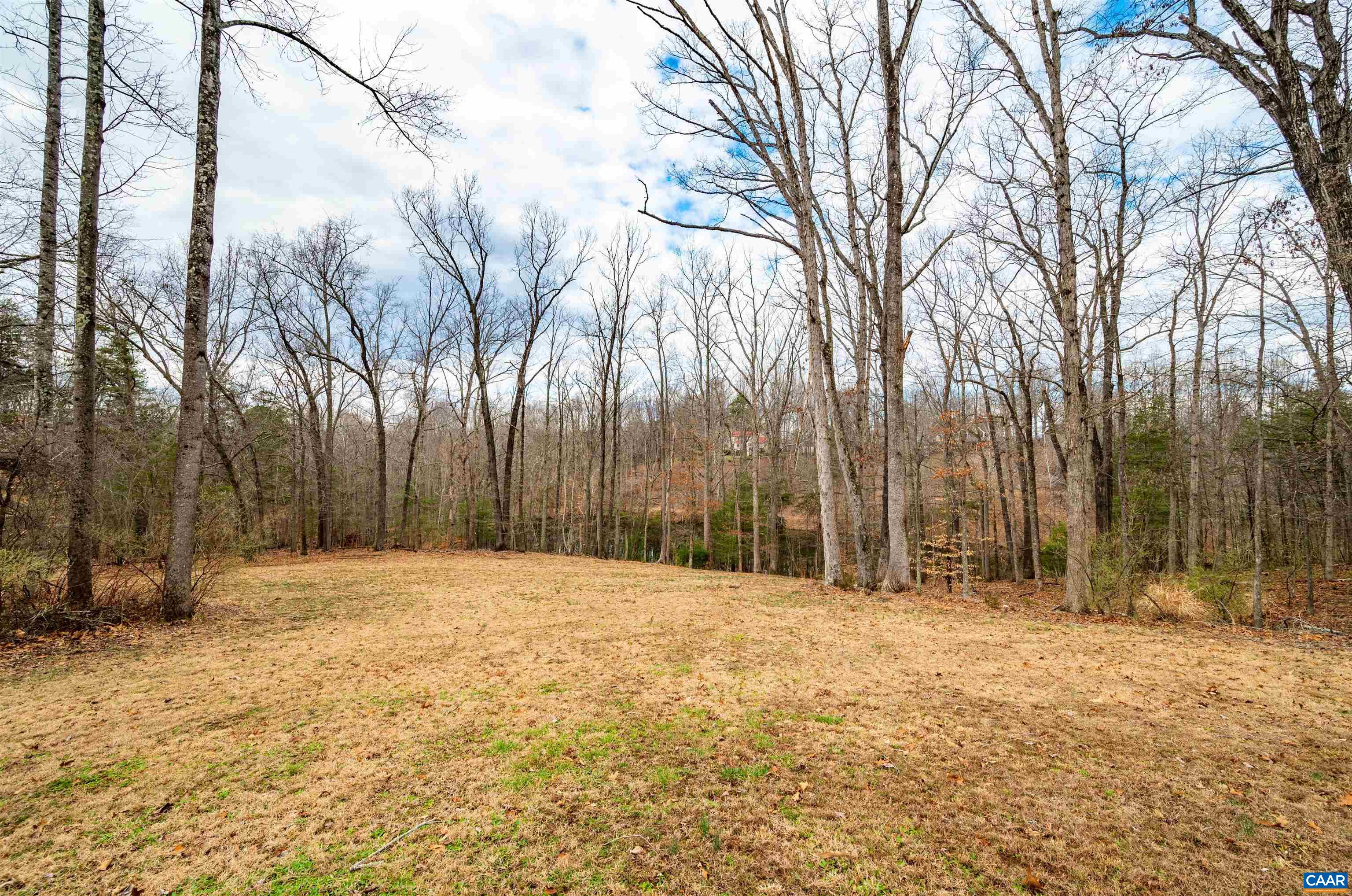 303 Turkey Ridge Road Charlottesville, VA 22903 - Photo 49 of 49