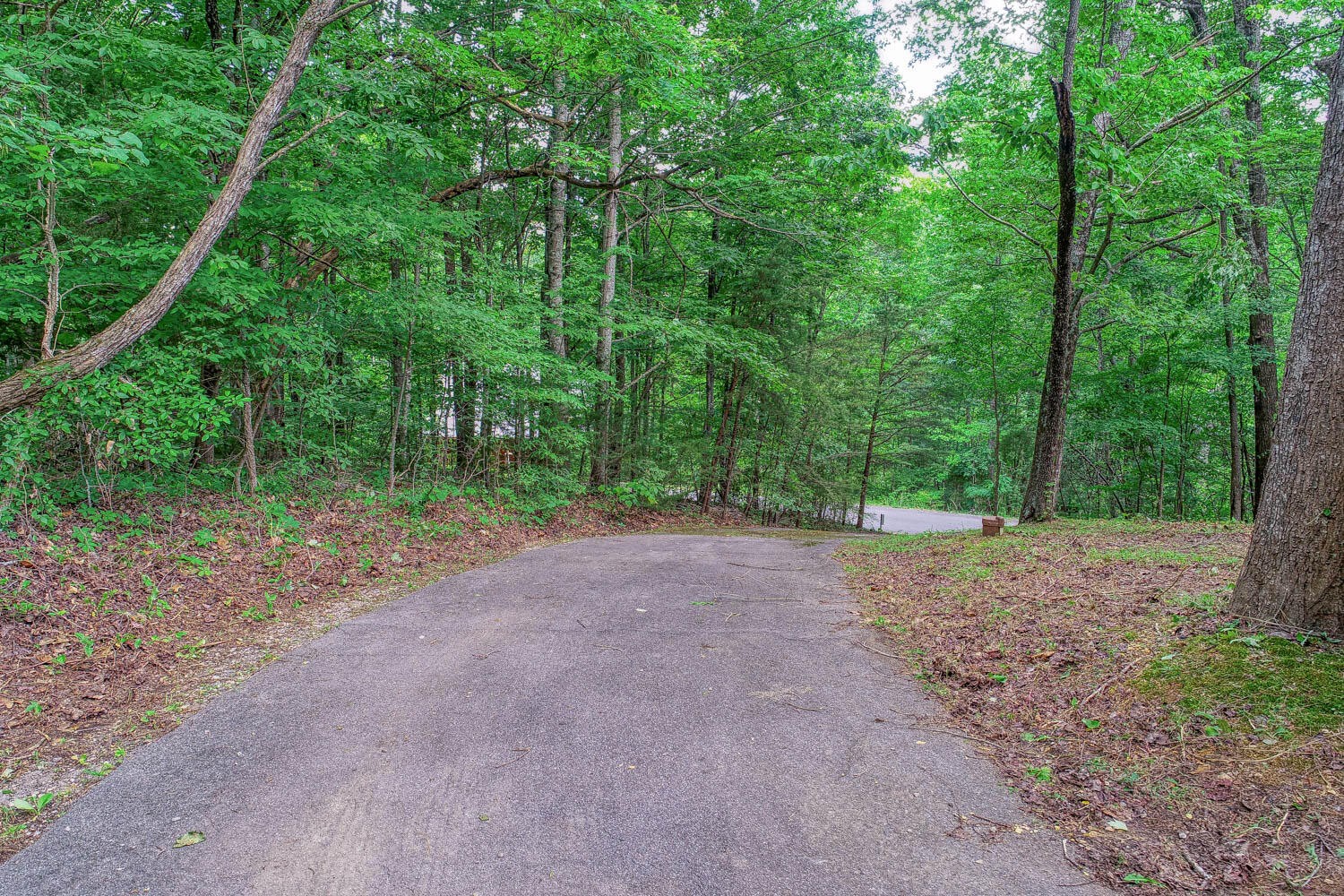 3126 Hatcher Top Road Sevierville, TN 37862 - Photo 4 of 35 Gallery Image 4