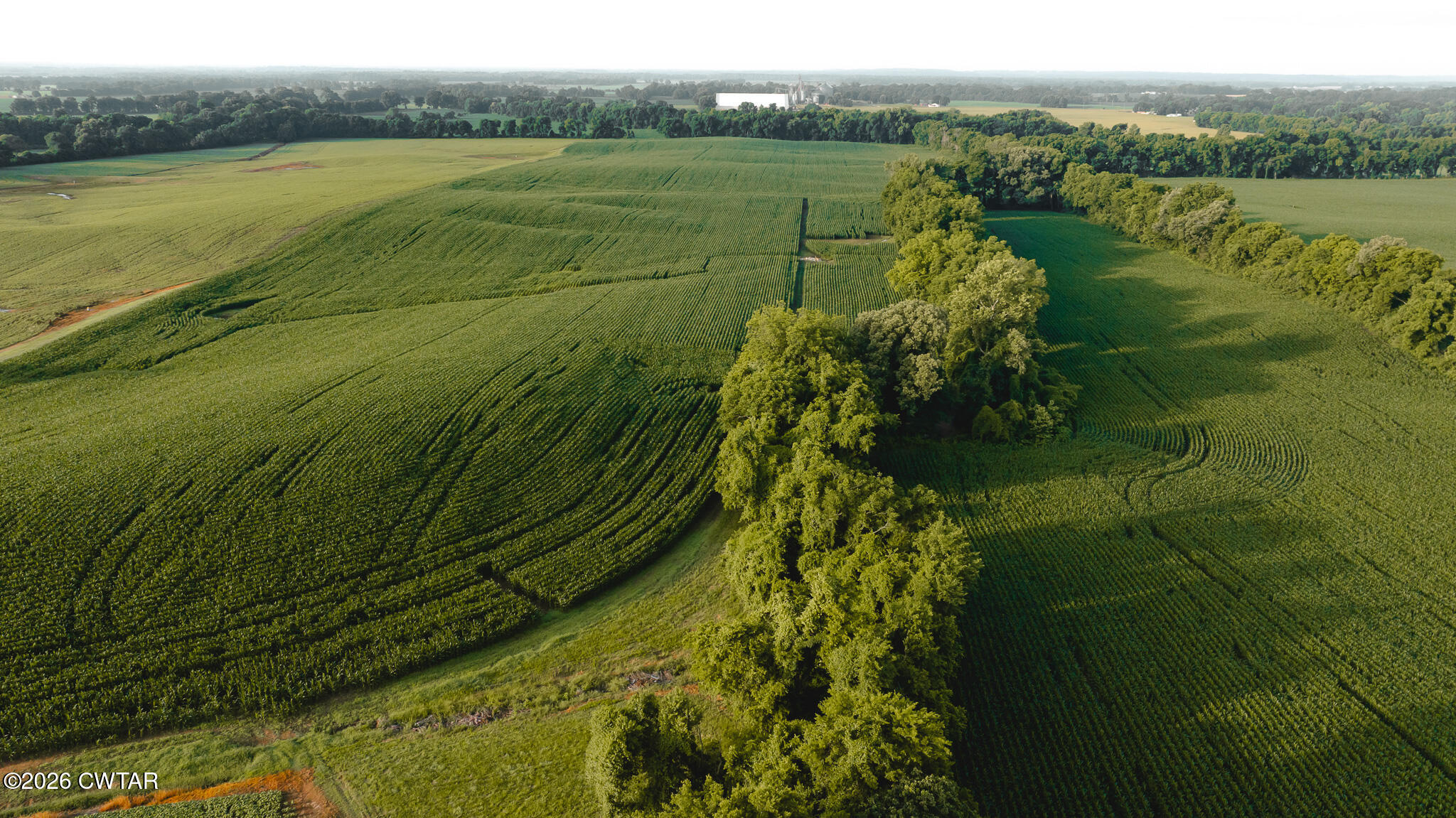 0 Jack Tate Road Obion, TN 38240 - Photo 6 of 23 DJI_20260531141158_0092_D