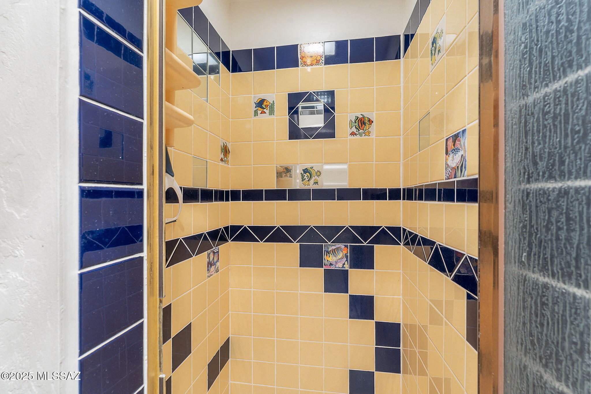 9865 North Willow Loop Tucson, AZ 85739 - Photo 37 of 50 Shower