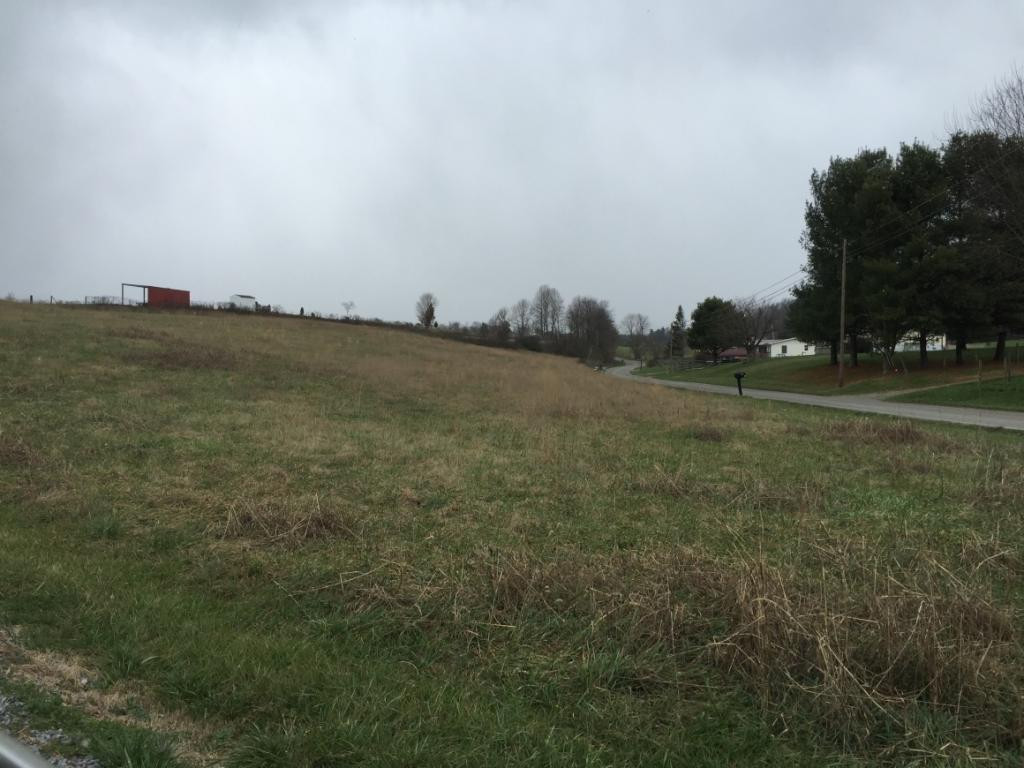 960 Pleasant Grove Road Bluff City, TN 37618 - Photo 2 of 2 Photo 2