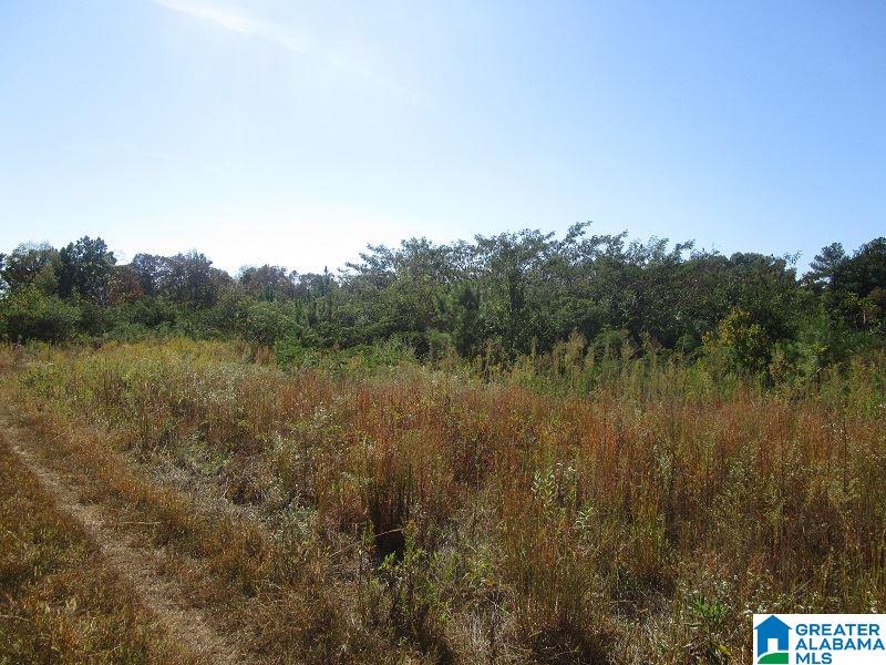 2528 Sayers Road Fultondale, AL 35068 - Photo 19 of 21
