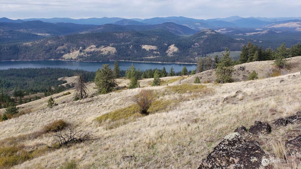 4100 Bissell Road Hunters, WA 99137 - Photo 11 of 13