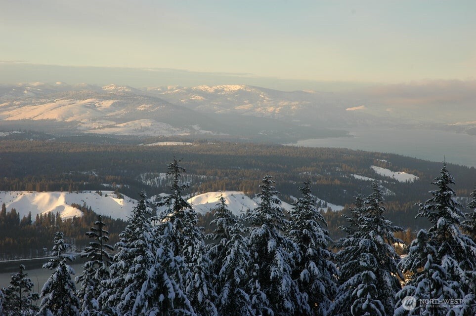 4100 Bissell Road Hunters, WA 99137 - Photo 12 of 13