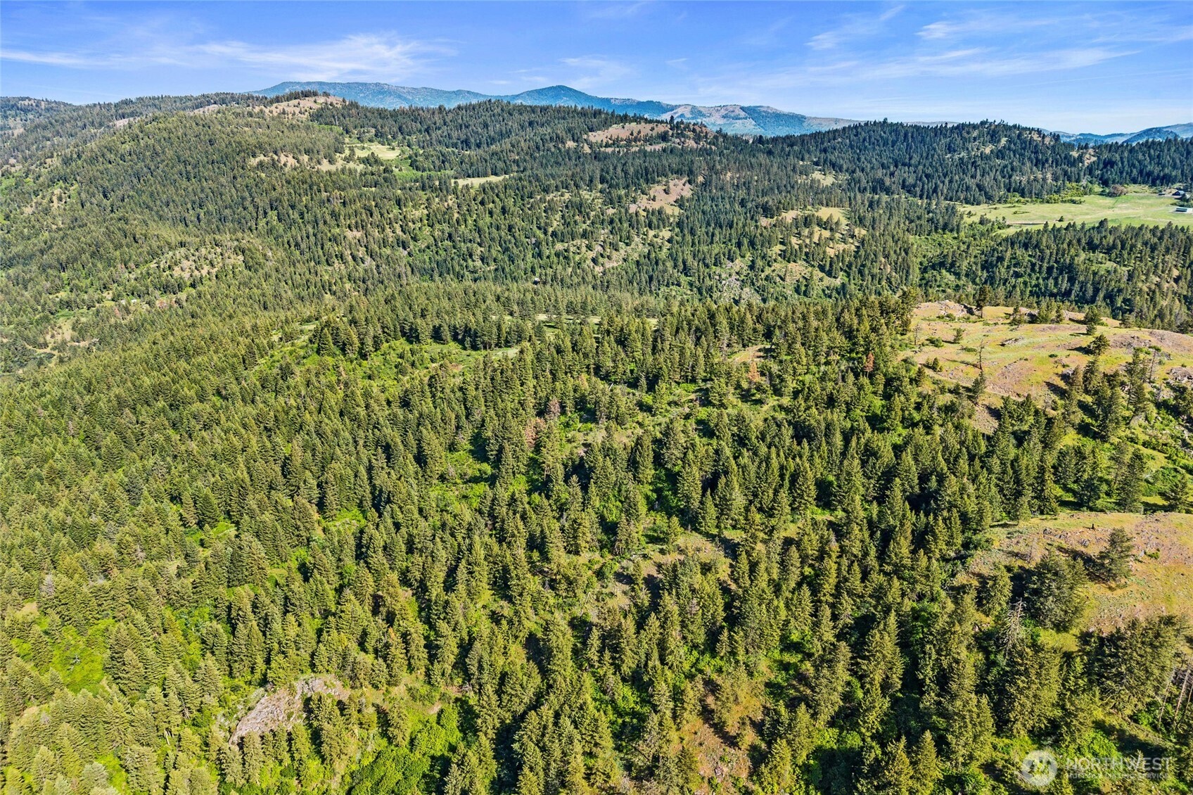 4100 Bissell Road Hunters, WA 99137 - Photo 31 of 39