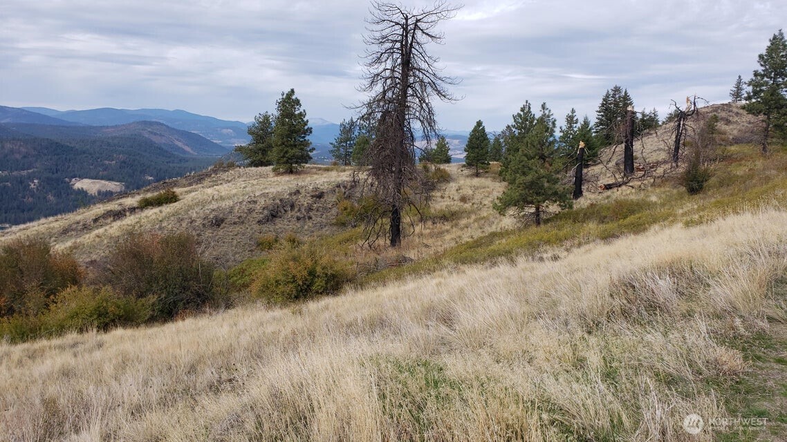 4100 Bissell Road Hunters, WA 99137 - Photo 8 of 13