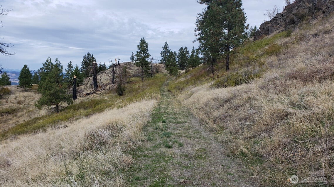 4100 Bissell Road Hunters, WA 99137 - Photo 9 of 13