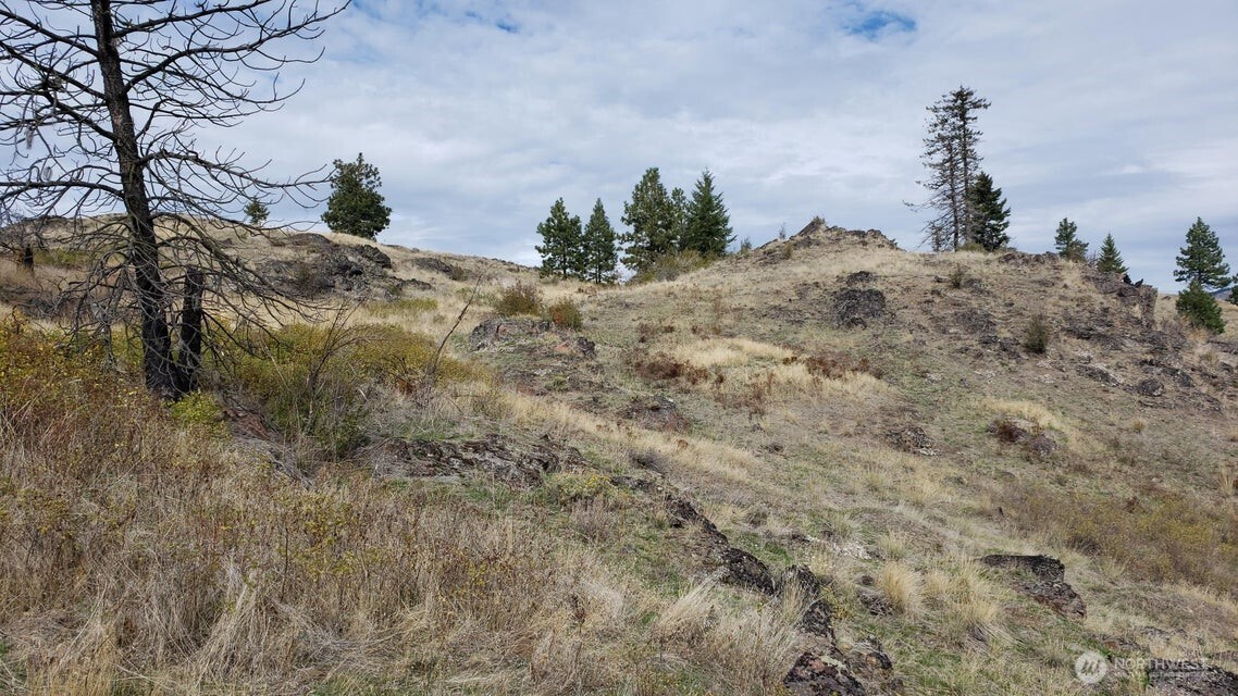 4100 Bissell Road Hunters, WA 99137 - Photo 10 of 13