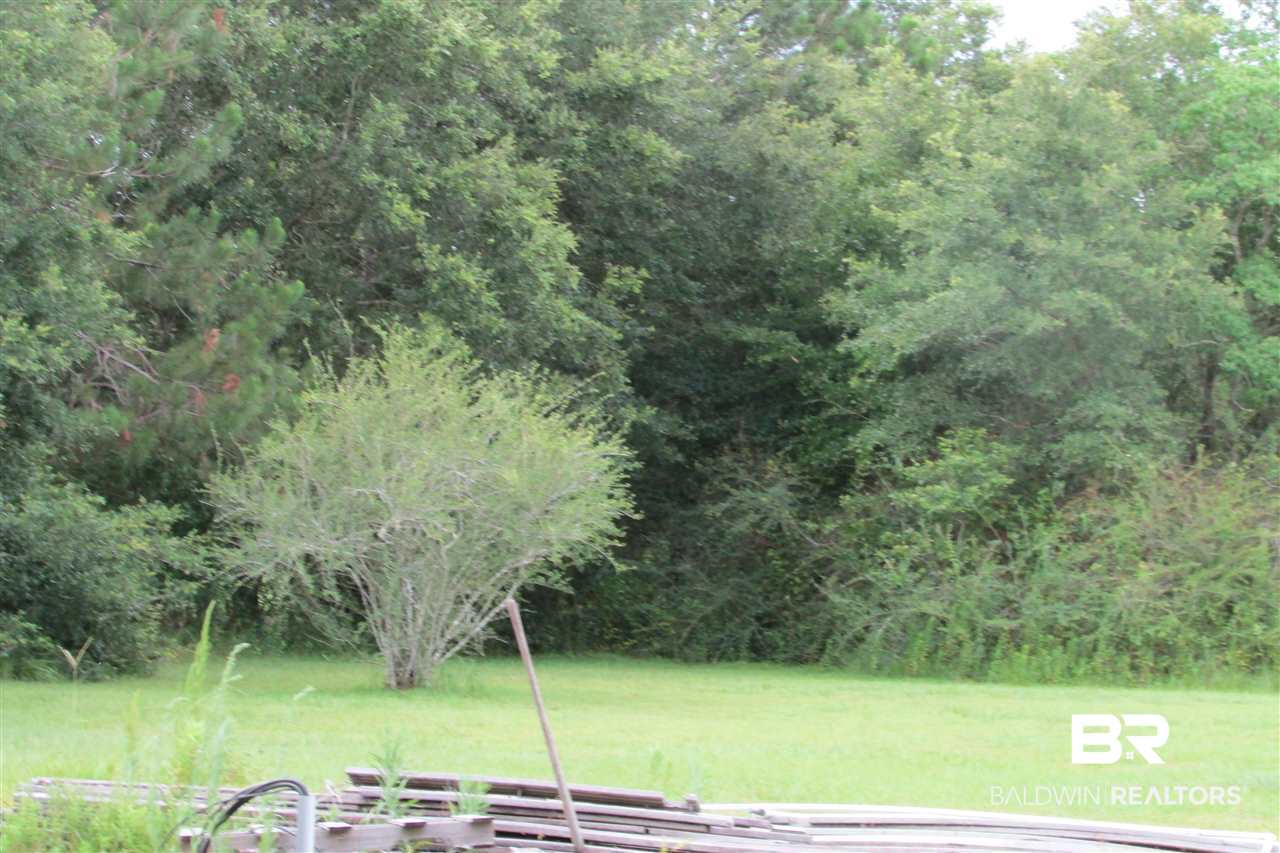 12500 Breman Road Elberta, AL 36530 - Photo 3 of 6