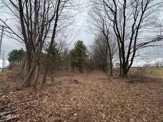 945 Saratoga Road Ballston, NY 12019 - Photo 6 of 16 IMG_5242