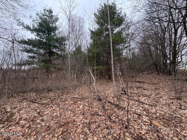 945 Saratoga Road Ballston, NY 12019 - Photo 7 of 16 IMG_5244