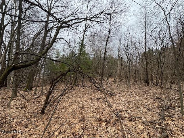 945 Saratoga Road Ballston, NY 12019 - Photo 8 of 16 IMG_5247