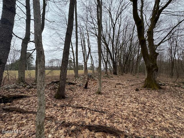 945 Saratoga Road Ballston, NY 12019 - Photo 9 of 16 IMG_5250