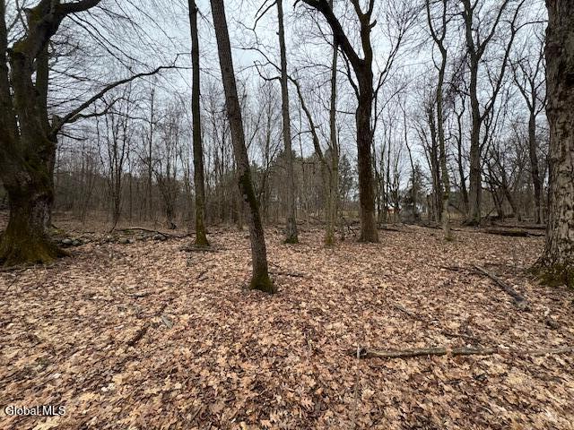 945 Saratoga Road Ballston, NY 12019 - Photo 10 of 16 IMG_5252