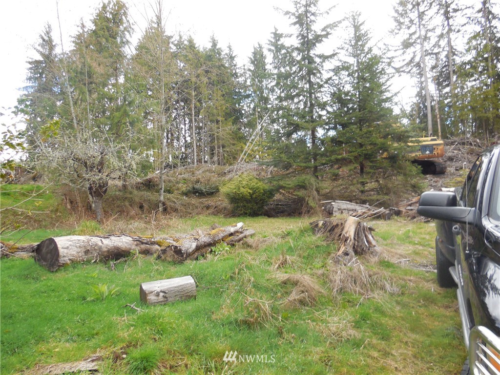 1304 Newberg Road Snohomish, WA 98290 - Photo 3 of 8 Gallery Image 3