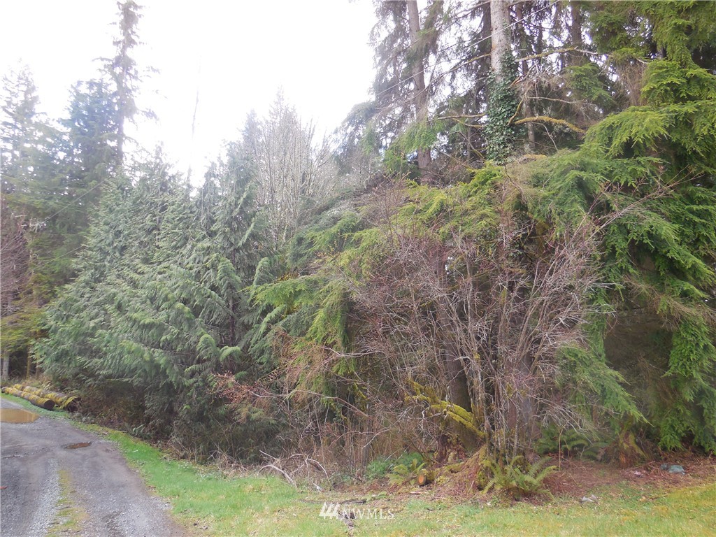 1304 Newberg Road Snohomish, WA 98290 - Photo 6 of 8 Gallery Image 6