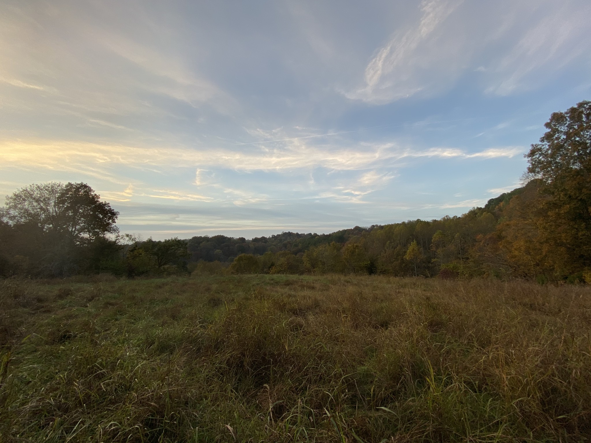 377 Red Tuttle Road Bethpage, TN 37022 - Photo 2 of 4 a view of mountain with lake view