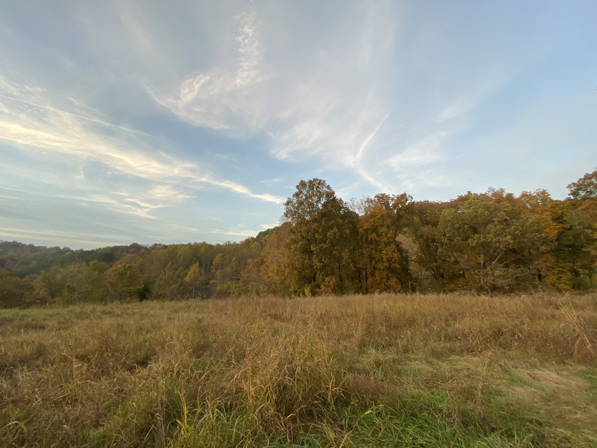 377 Red Tuttle Road Bethpage, TN 37022 - Photo 3 of 4 a view of mountain with trees