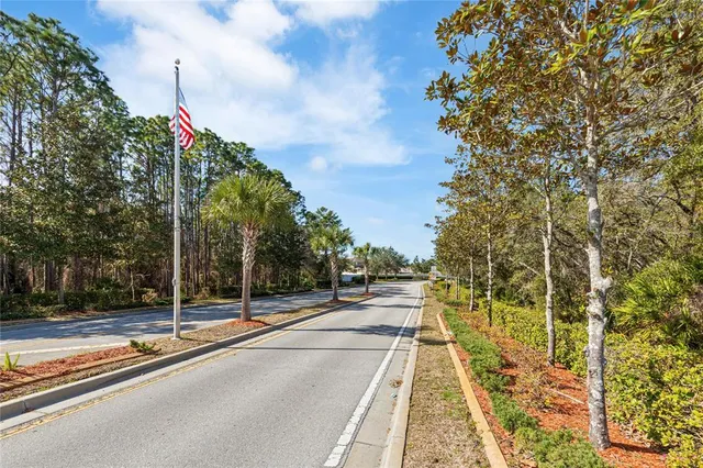 a view of a park with large trees
