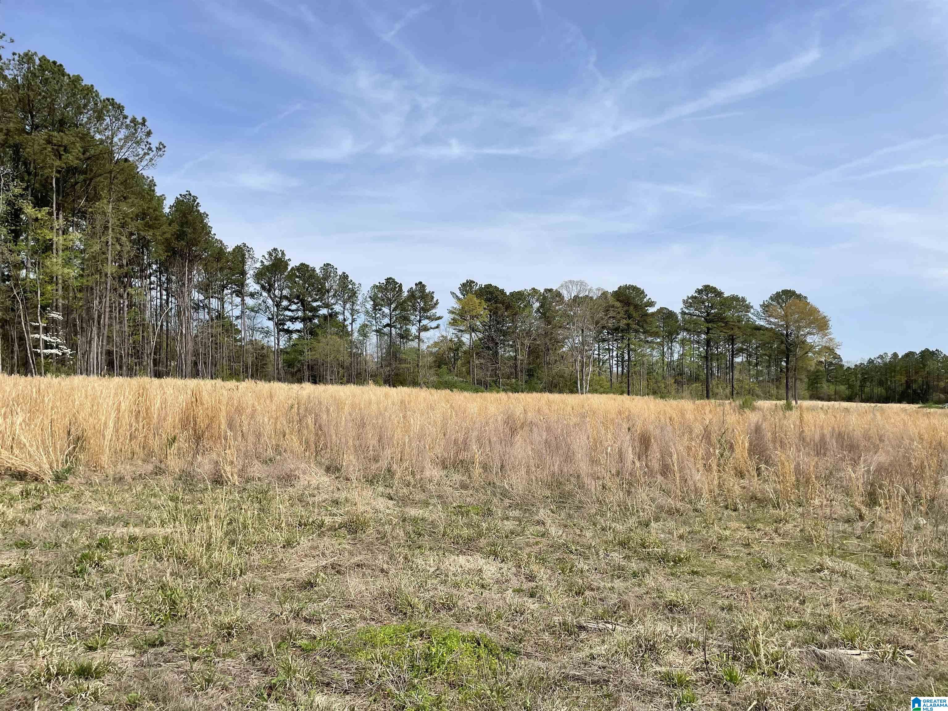 0 Greensport Road Ashville, AL 35953 - Photo 33 of 43